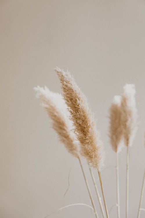Dream-Brand-Minimalistic-Matter-aanbod-2