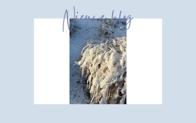 Witte wereld, nieuwe ideeën